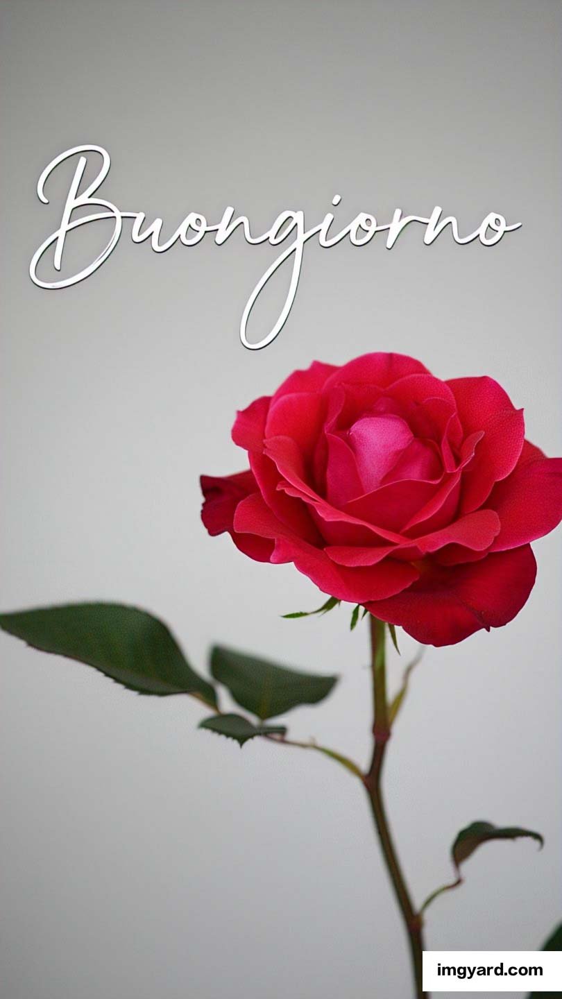 100 immagini buongiorno gratis per whatsapp-72