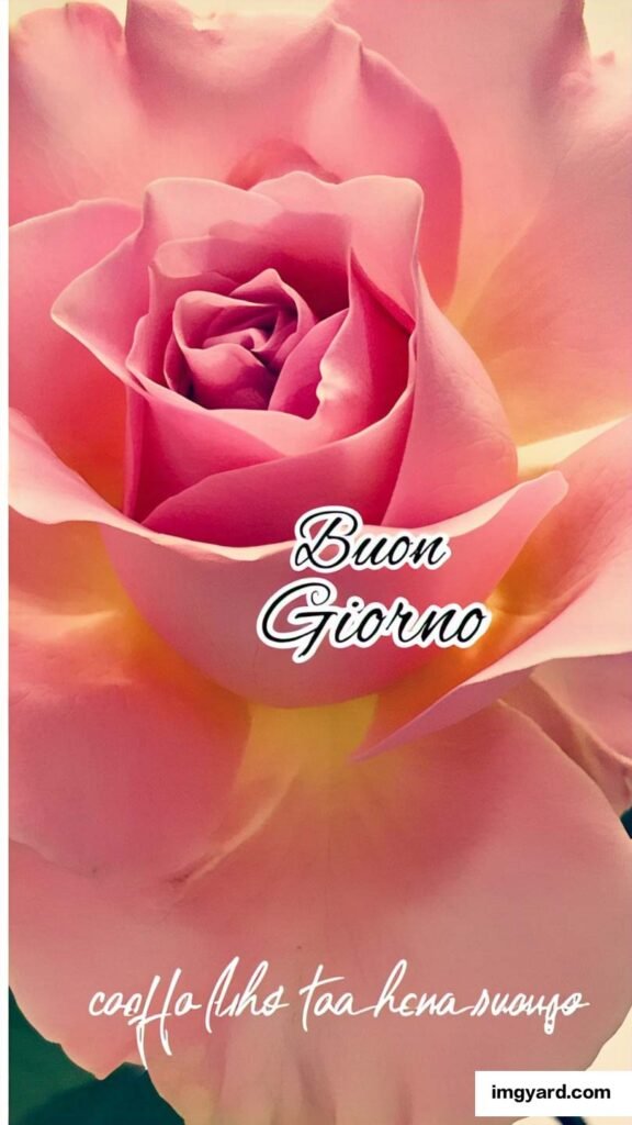 100 immagini buongiorno gratis per whatsapp-82