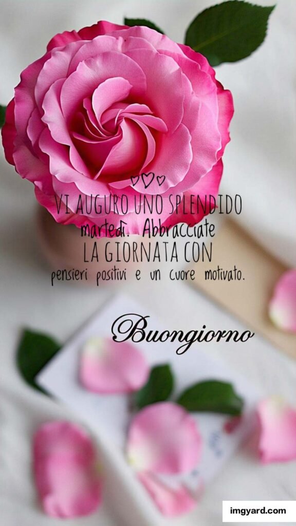 buongiorno buon martedì-118