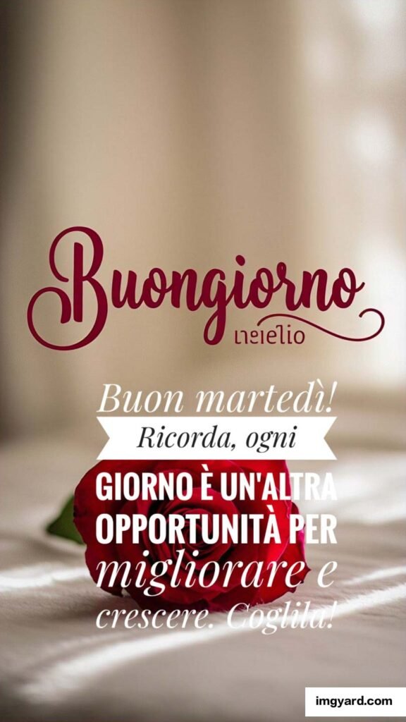 buongiorno buon martedì-121
