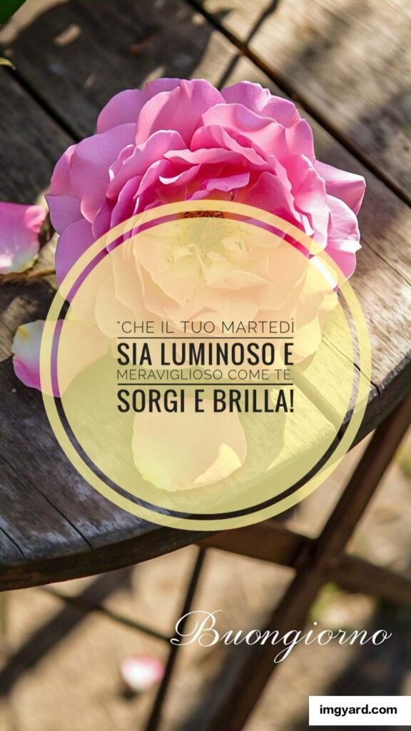 buongiorno buon martedì-122
