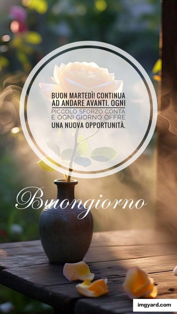 buongiorno buon martedì-124