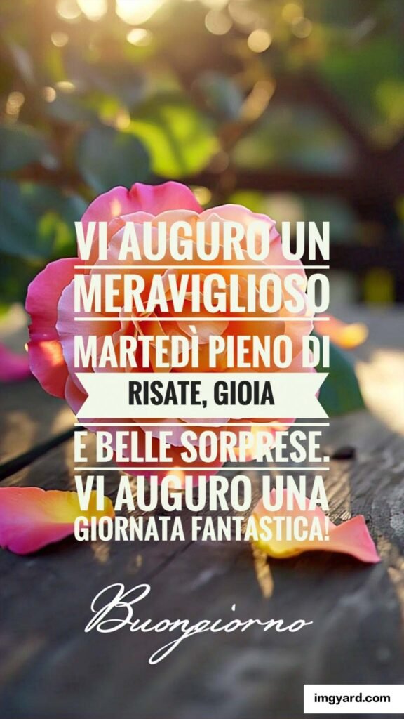 buongiorno buon martedì-128