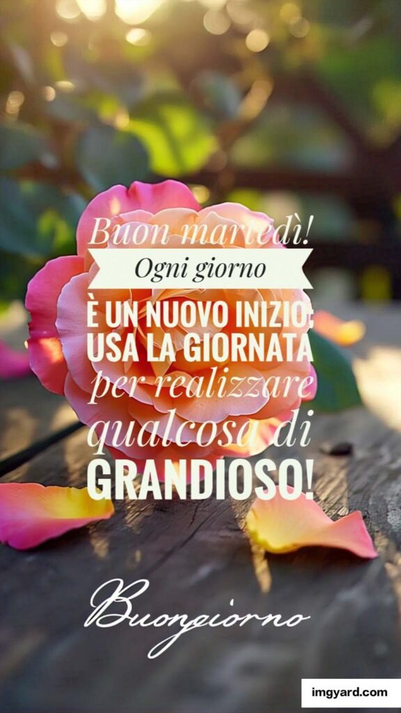 buongiorno buon martedì-130