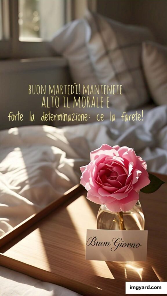 buongiorno buon martedì-132