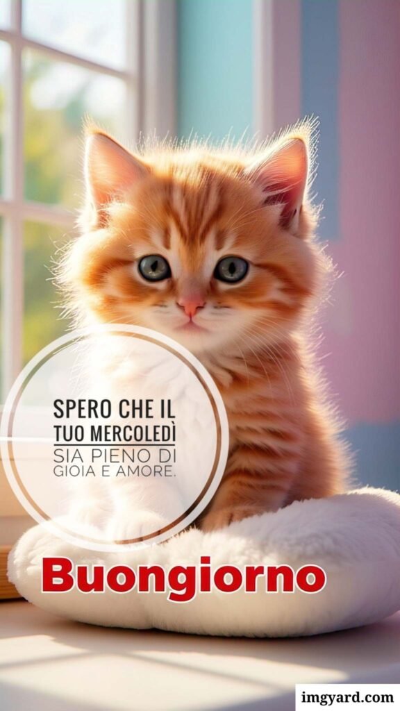 buongiorno mercoledì-02