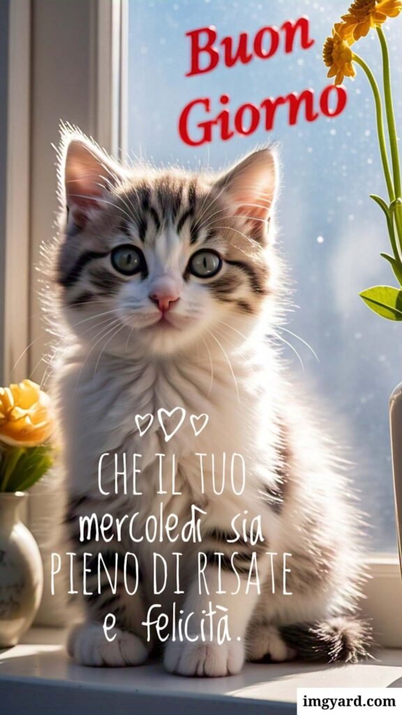buongiorno mercoledì-13