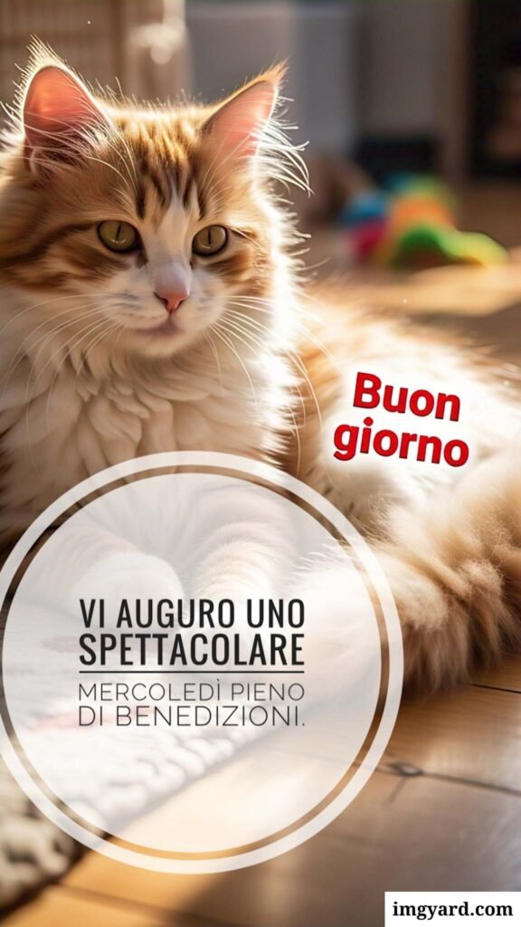 buongiorno mercoledì-14