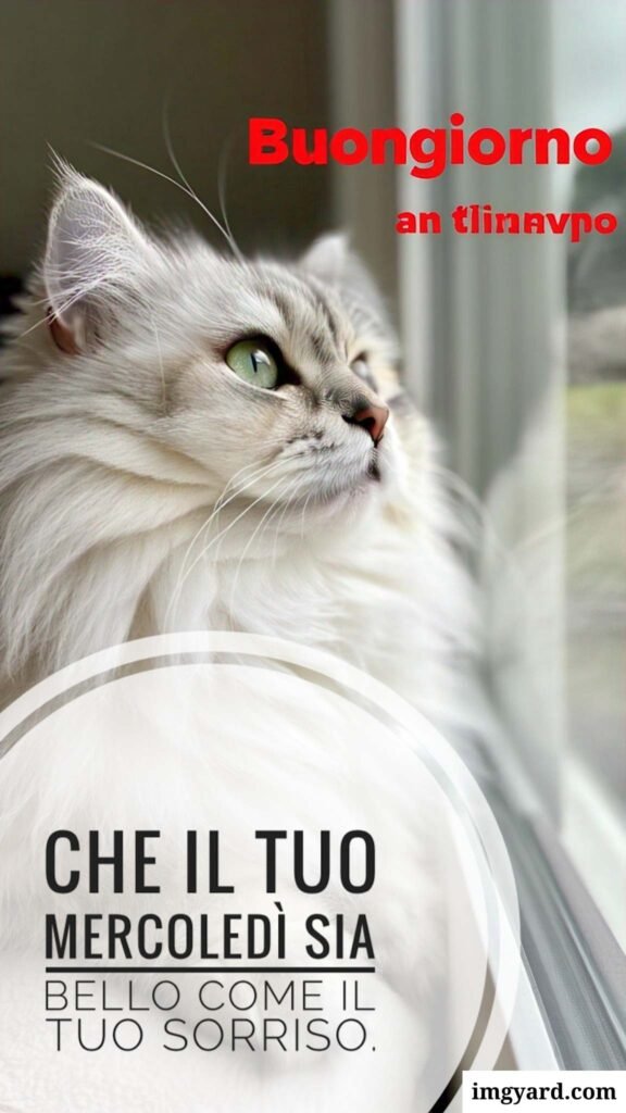 buongiorno mercoledì-21
