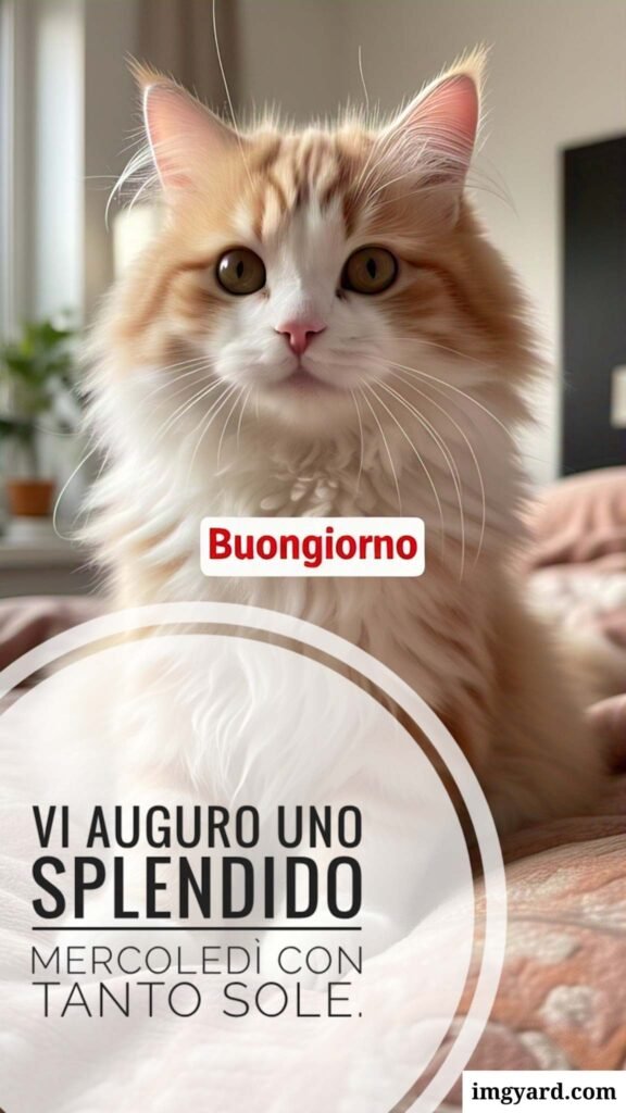 buongiorno mercoledì-26