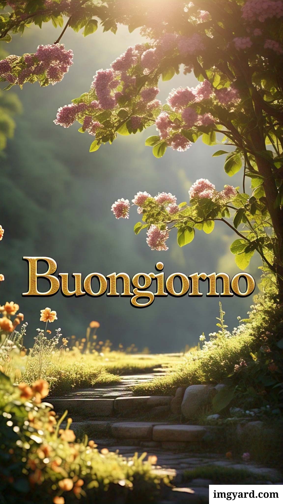 le ali del sorriso buongiorno immagini nuove gratis-44