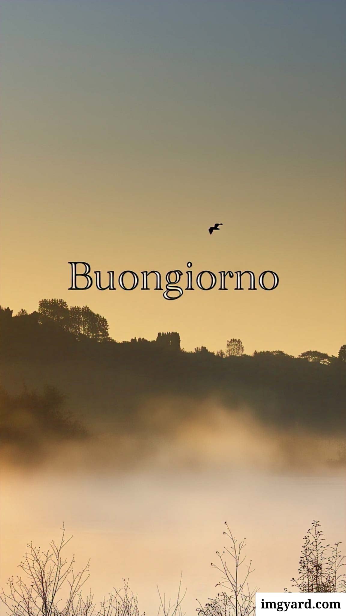 le ali del sorriso buongiorno immagini nuove gratis-50