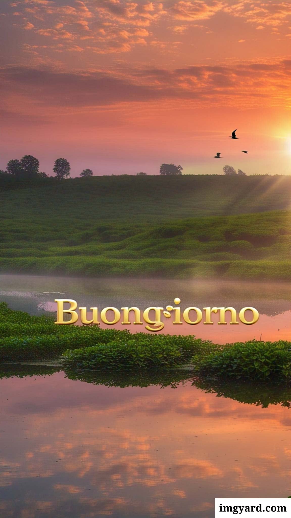 le ali del sorriso buongiorno immagini nuove gratis-53