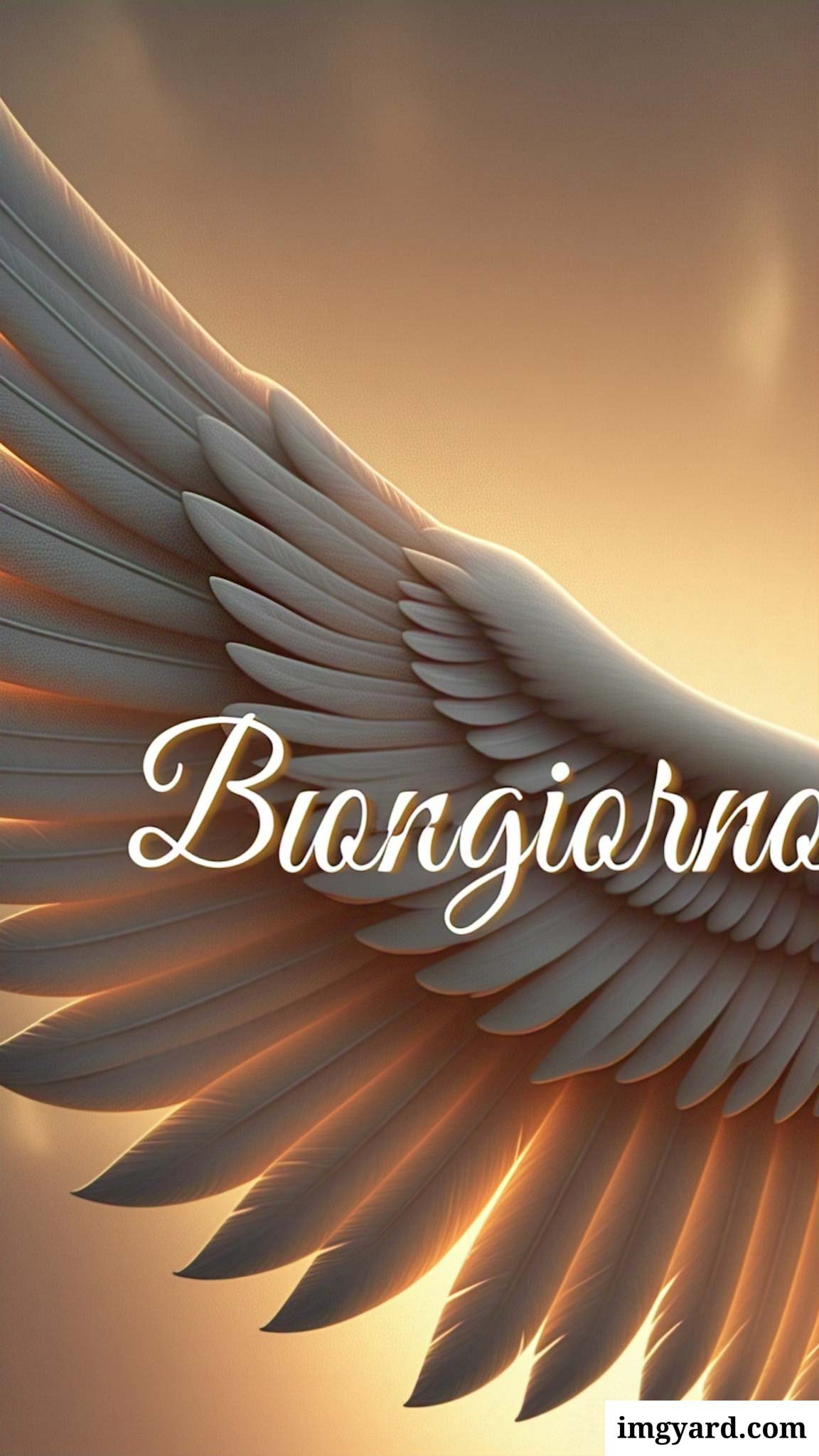 le ali del sorriso buongiorno immagini nuove gratis-56
