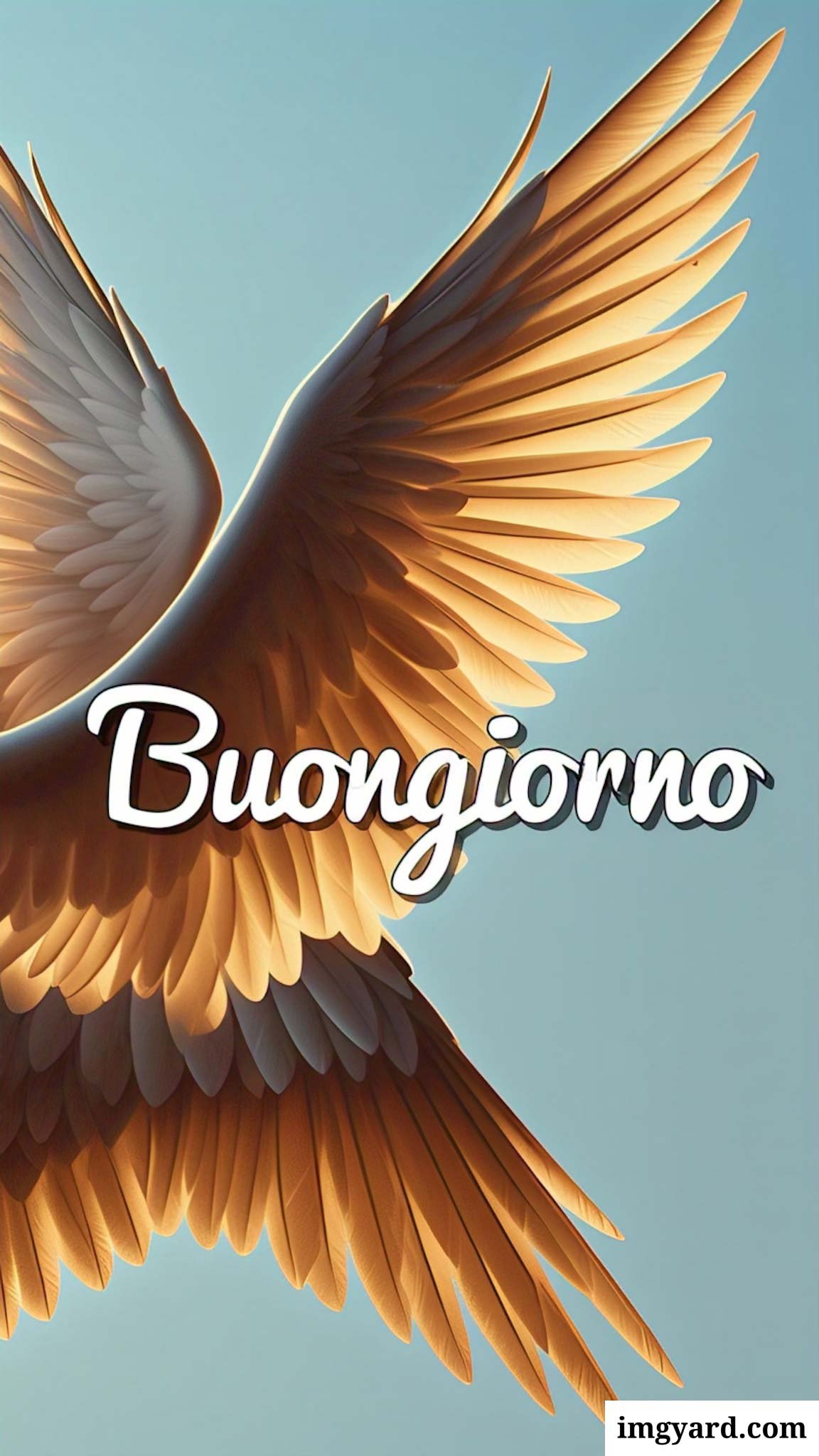 le ali del sorriso buongiorno immagini nuove gratis-58