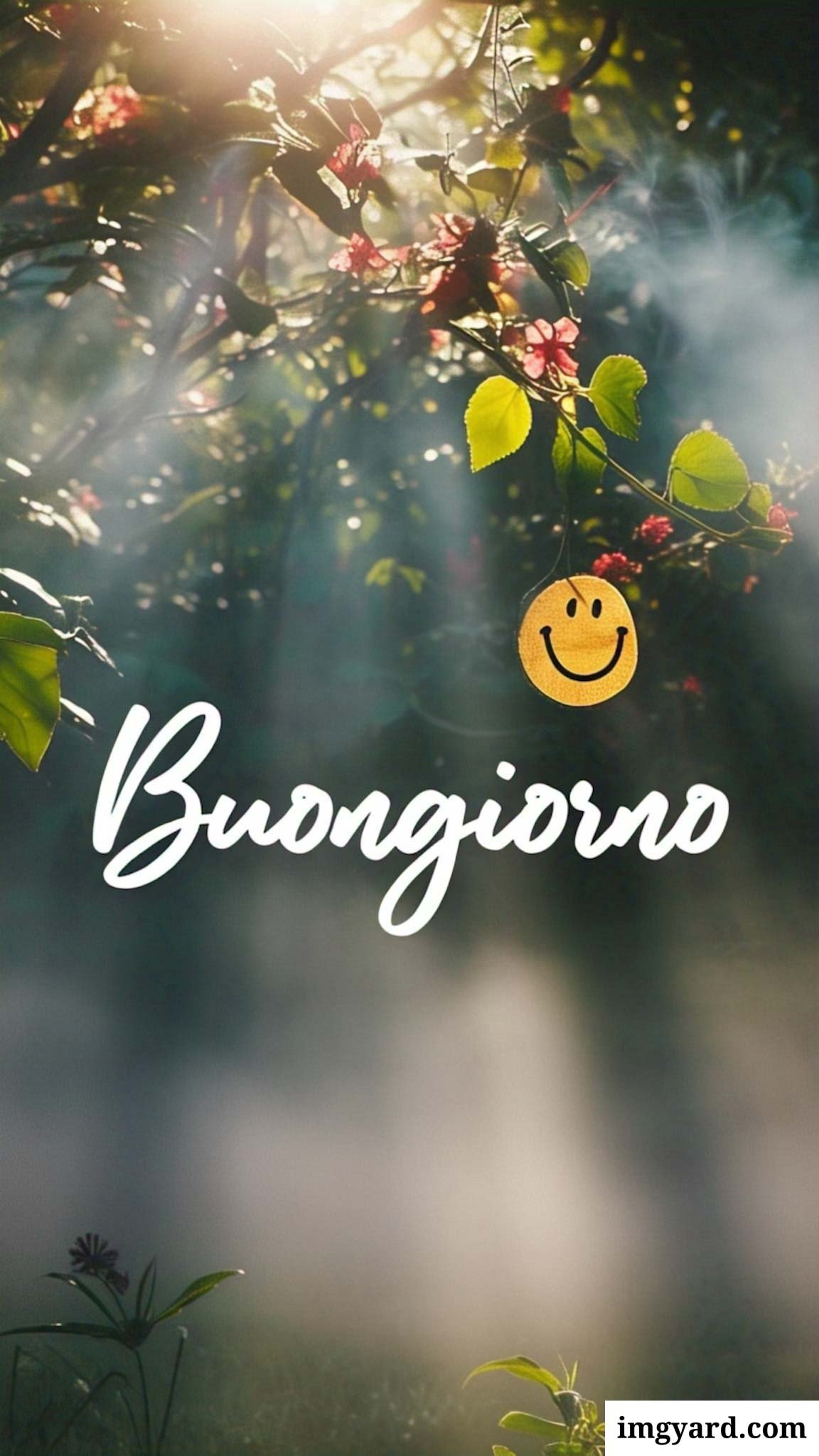 le ali del sorriso buongiorno immagini nuove gratis-61