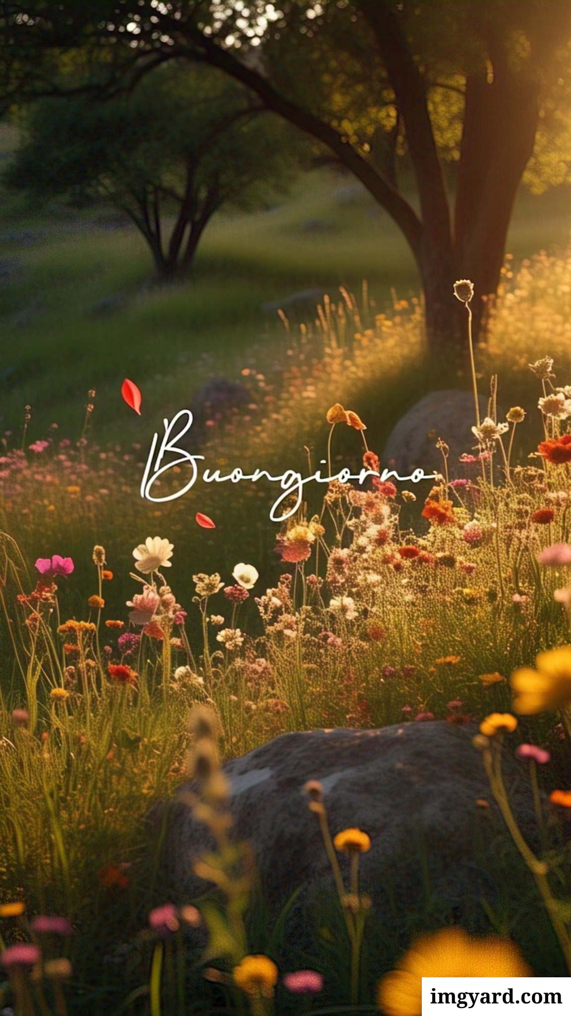 le ali del sorriso buongiorno immagini nuove gratis-79