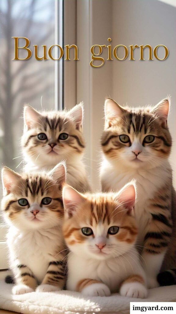 whatsapp bellissime buongiorno immagini nuove-02