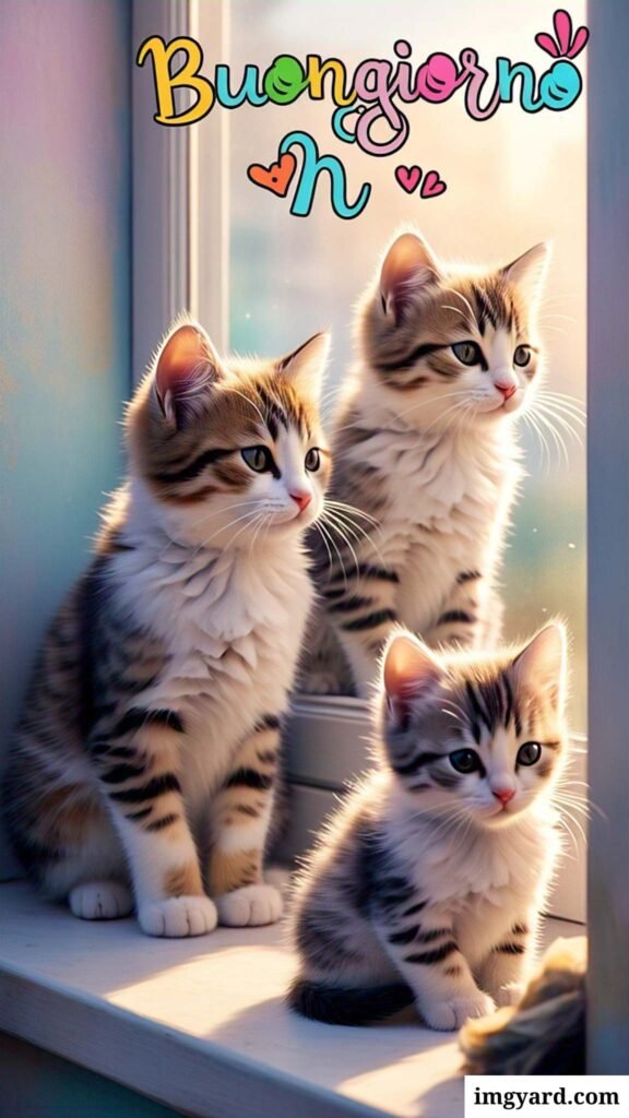 whatsapp bellissime buongiorno immagini nuove-04