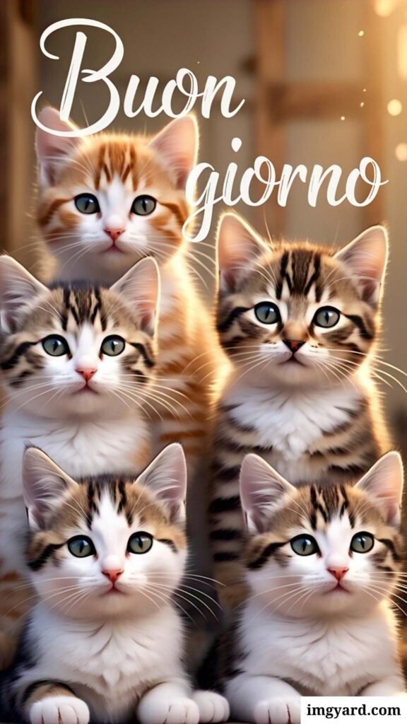 whatsapp bellissime buongiorno immagini nuove-09