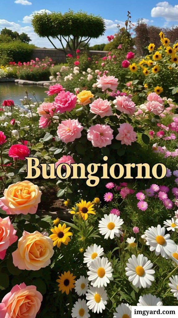 whatsapp bellissime buongiorno immagini nuove-10