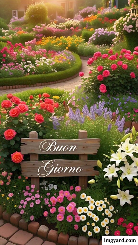 whatsapp bellissime buongiorno immagini nuove-13