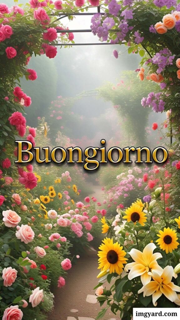 whatsapp bellissime buongiorno immagini nuove-14