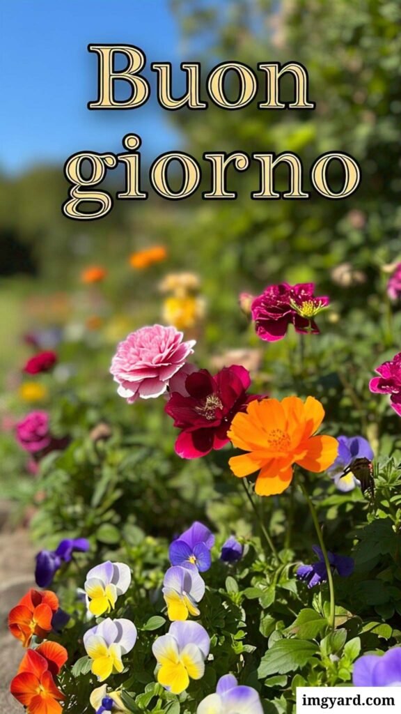whatsapp bellissime buongiorno immagini nuove-15