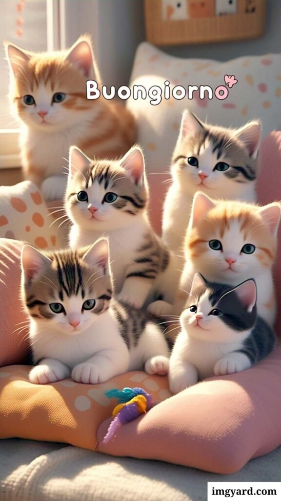 whatsapp bellissime buongiorno immagini nuove-21