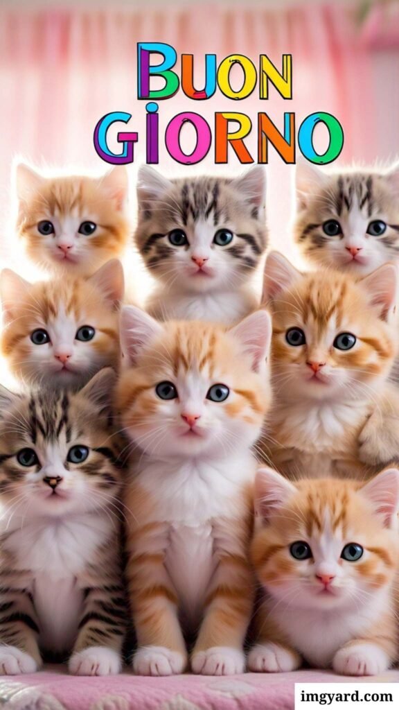 whatsapp bellissime buongiorno immagini nuove-24