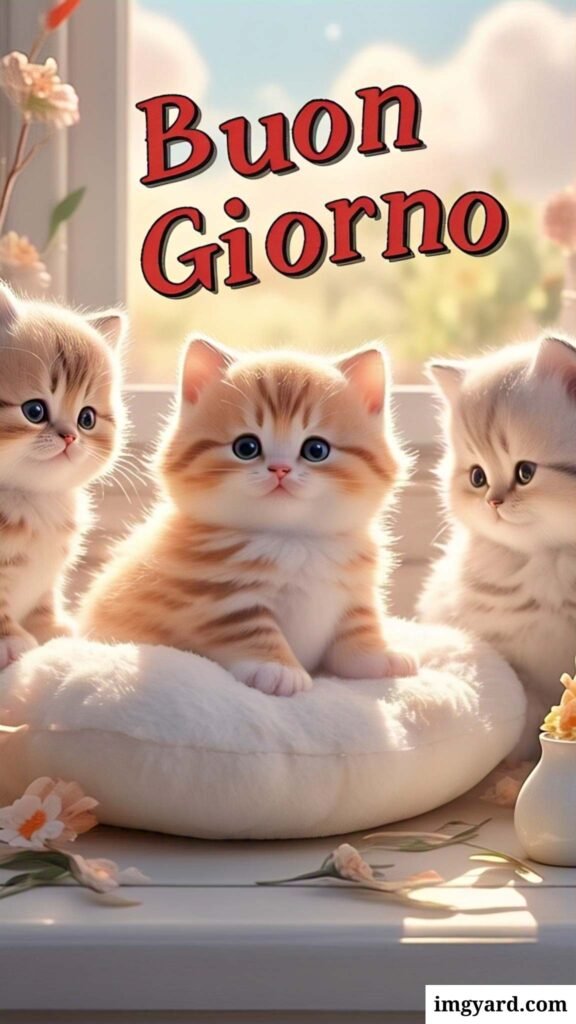 whatsapp bellissime buongiorno immagini nuove-26