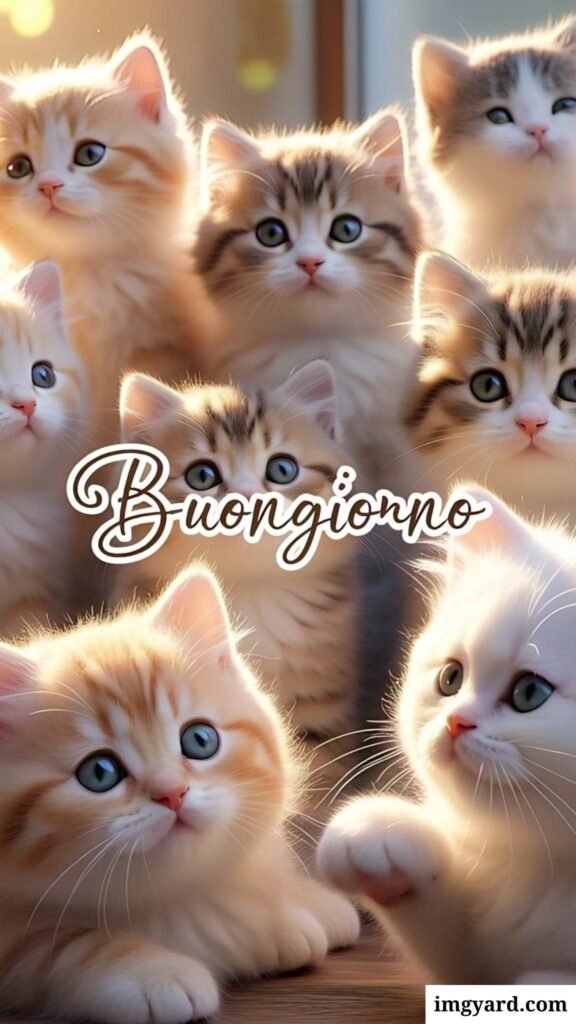 whatsapp bellissime buongiorno immagini nuove-28