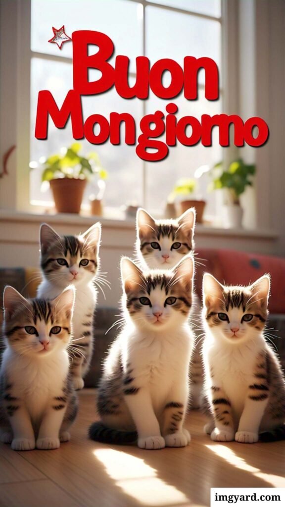 whatsapp bellissime buongiorno immagini nuove-29