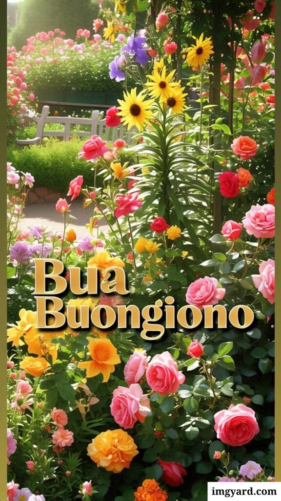 whatsapp bellissime buongiorno immagini nuove-30