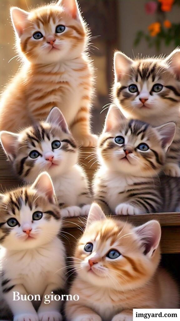 whatsapp bellissime buongiorno immagini nuove-34