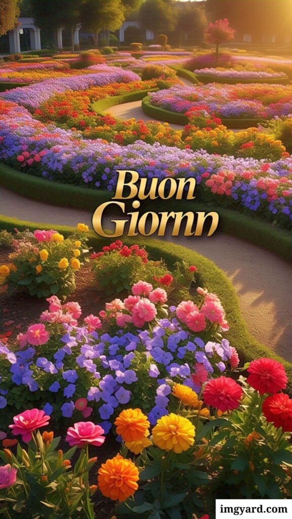 whatsapp bellissime buongiorno immagini nuove-37