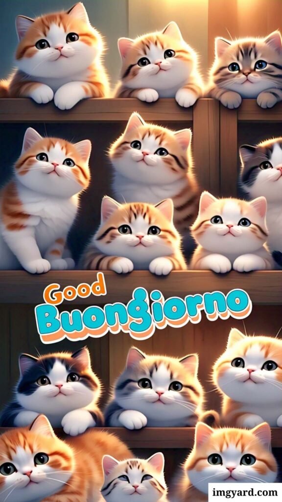 whatsapp bellissime buongiorno immagini nuove-43