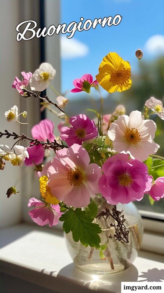 bellissime immagini buongiorno con i fiori​-47