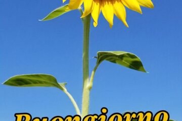 mozzafiato significativo originali nuovissimo buongiorno immagini recenti​-21