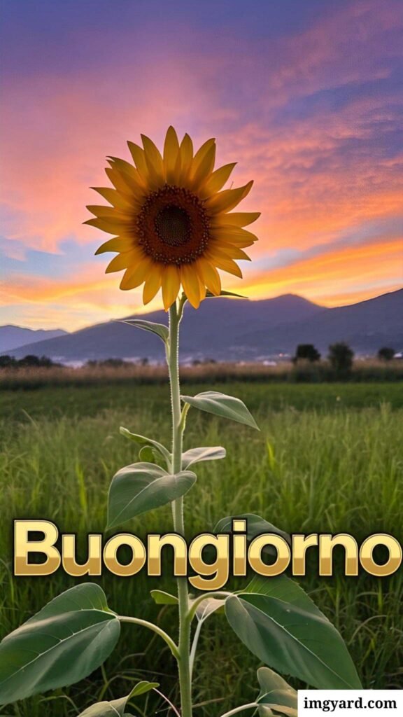 mozzafiato significativo originali nuovissimo buongiorno immagini recenti​-25